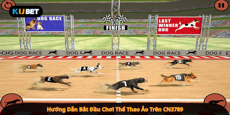 Hướng Dẫn Bắt Đầu Chơi Thể Thao Ảo Trên CN3789